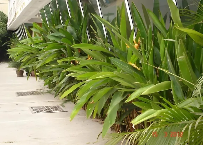 Hotel Diamond Sweet Bangkok